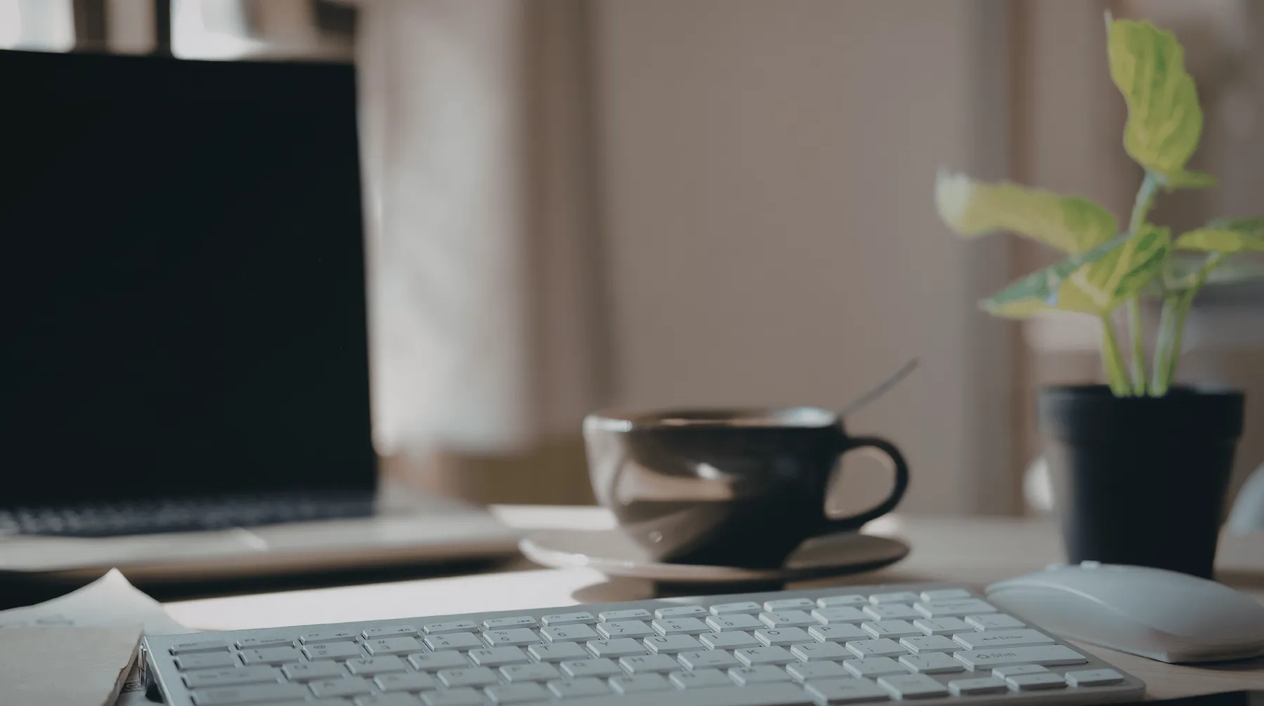 Professional SEO Workspace